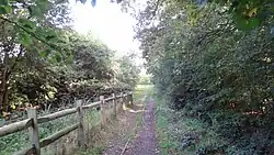 Path in Ainslie Wood