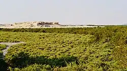 Al Khor Island