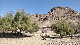 Agricultural and livestock tradition