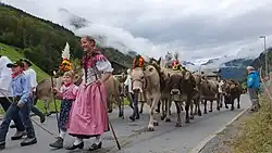 Image 26Farmer families, dressed in traditional clothing, guiding cattle down from the Swiss Alps (from Culture of Switzerland)