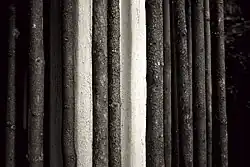 Detail at main entrance