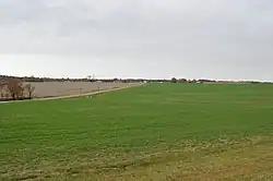 Young wheat field on Dillon Road
