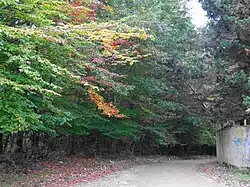 Tourists in July 2012