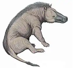 Reconstruction of Andrewsarchus, an artiodactyl