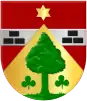 Coat of arms of Appelscha