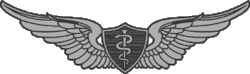 Army Flight Surgeon Badge