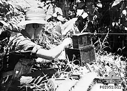 An unidentified Australian soldier operating an Army No. 208 Wireless Set in the jungle. This small and easy to set up wireless set was standard equipment for Commandos and Patrols.