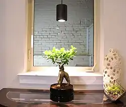 A small ficus plant being grown under a black LED light fixture emitting warm white light.
