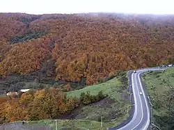 Heyran road in autumn
