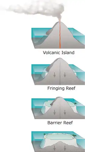 four stages in development of coral reefs: a volcanic island forms, is surrounded by a fringing coral reef, as it subsides slowly a wide barrier reef forms, then after it has sunk below sea level the coral continues to grow forming a circular atoll.