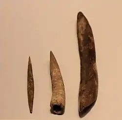 Aurignacian Culture bone tools (needle, points and tools for punching holes), Hayonim Cave, 30,000 BP.