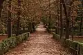 Autumn seen in a park in Madrid, Spain