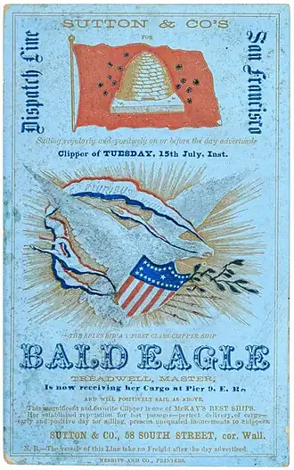 Bald Eagle sailing card
