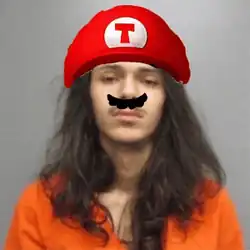 A mug shot of a man with long brunette hair in an orange jumpsuit. A fake mustache and hat are edited over the image to resemble the video game character Mario.
