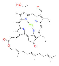 bacteriochlorophyll e
