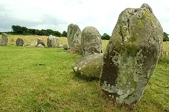 Some of the larger stones (2008)
