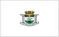 Flag of Pilar do Sul