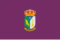 Flag of San Juan de la Nava