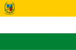 Flag of Libertad Municipality