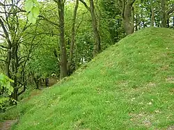 Castle Neroche: a motte and bailey castle and earlier defences above Castle Plantation