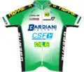 VF Group–Bardiani–CSF–Faizanè jersey