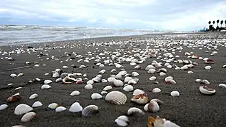 Salman Shahr beach in August 2011