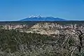 View of the San Francisco Peaks from Bear Mountain.