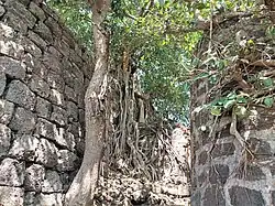 Bhavangad Fort Walls