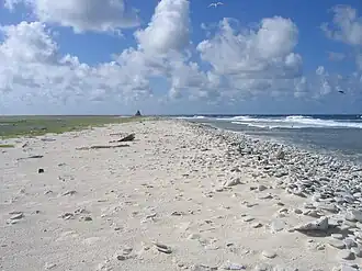 Birnie Island. Day beacon in background