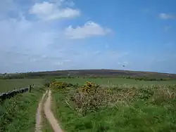 Tyre tracks run through flat grassland toward a large mound on the distant horizon.