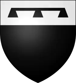 Vilain XIIII family.