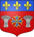 Coat of arms of Montjoi