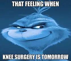 Image macro meme of blue-tinted, slightly horizontally stretched Grinch; top caption reads: "That feeling when"; bottom caption reads: "Knee surgery is tomorrow"
