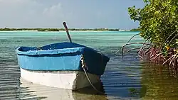 The Shore of South Caicos Island