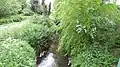 Hogsmill