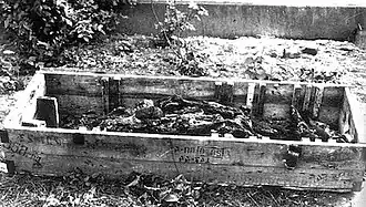 Achromatic photograph of a coffinlike box in a garden area, shown from about a 45-degree angle, with indistinguishable lumps inside, including a possible partial cranium (seen from the back) with straight sutures.