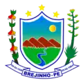 Coat of arms of Brejinho