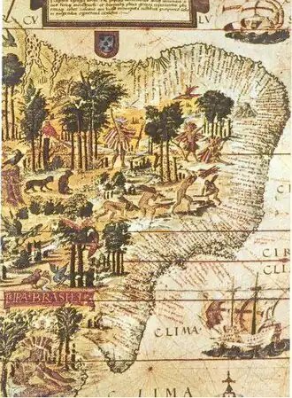 Map of Brazil from 1519, showing signs of European occupation.