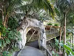 Bridge to Kijimuna Theatre