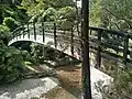 Bridge over Turere Stream, a tributary of the Ōrongorongo River