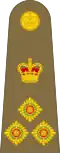 Brigadier