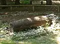 Log coffin burial, reconstruction.[194]
