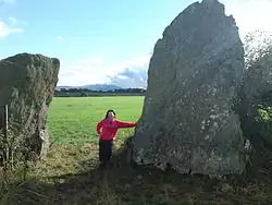 Bryn Gwyn stones