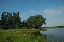 Bug River in Kuligów