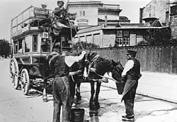 Image 278Berlin horsebus (from Horsebus)