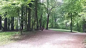 The interior of the castle site