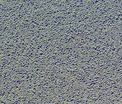 This is a photomicrograph of the pits at the inner edge of a CD-ROM; 2-second exposure under visible fluorescent light.