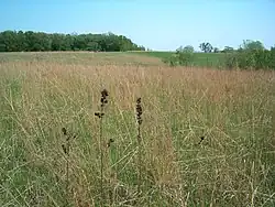 Conard Environmental Research Area