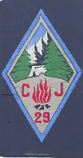 Insignia of CJF 29 - Team 1.