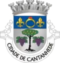 Coat of arms of City of Cantanhede